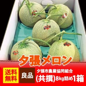 北海道 アサヒ メロン 送料無料 アサヒメロン 追分 8kg 1箱(1ケース) 5