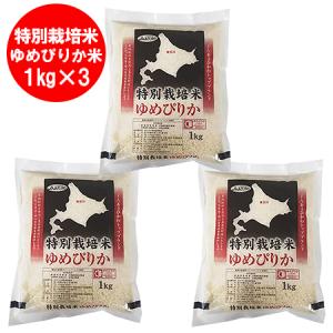 米 北海道米 ゆめぴりか 送料無料 米 北海道産米 ユメピリカ 白米 3kg ( 1kg×3 ) ゆめぴりか 白米 米 ごはん うるち米 精白米｜pointhonpo