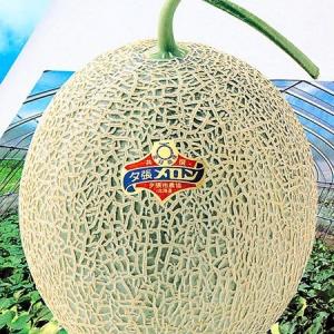 随時発送中 訳あり 夕張メロン 8kg 1箱 ...の詳細画像2