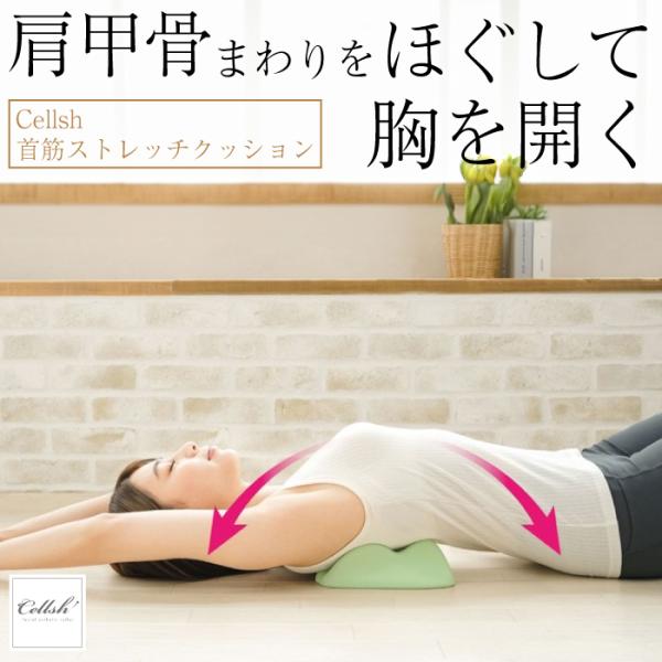 Cellsh (セルシュ) 肩甲骨ストレッチクッション 優しく伸ばす ウレタン素材 クッション性 背...