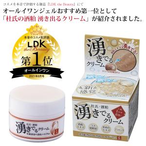 ピュアリースキン ファンデーション 26g : PositivoRegalo - 通販