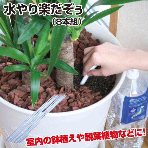 水やり楽だぞう (8本組) ペットボトル キャップ 自動給水 自動水やり 送料無料 ポイント消化 爆...