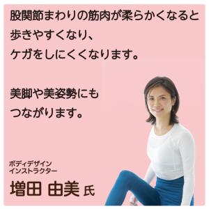 ニーズ 体幹開脚ストレッチクッション (ブラウ...の詳細画像4