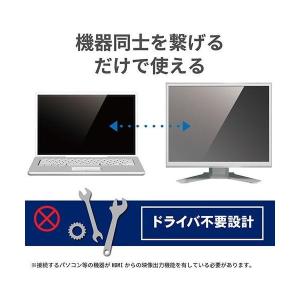 エレコム CAC-HDMIVGA20BK ディ...の詳細画像2