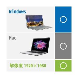 エレコム CAC-HDMIVGA20BK ディ...の詳細画像4