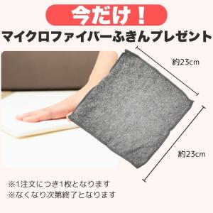 (期間限定おまけ付) スティッククリーナースタ...の詳細画像1