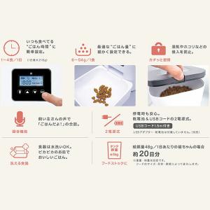 (12個セット) ドギーマン おるすばんサポー...の詳細画像2