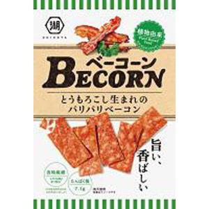 湖池屋 BECORN ベーコーン 67g×12入