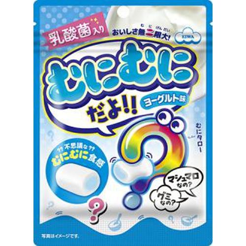 エイワ むにむにだよ ヨーグルト味 40g×8袋