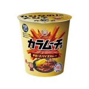 湖池屋 完全メシカラムーチョ 辛旨！スパイスカレー 12袋（3月下旬頃入荷予定）
