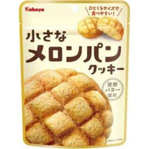 カバヤ 小さなメロンパンクッキー 41g×6入