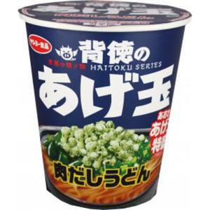 サンヨー食品 背徳のあげ玉 肉だしうどん 12入
