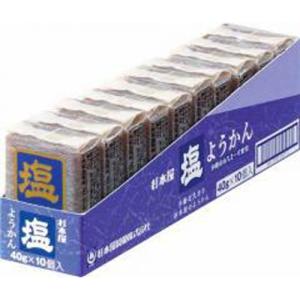 杉本屋 ようかん 塩 40g×10入