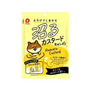 パイン 沼るカスタード 60g×6袋（9月下旬頃入荷予定）