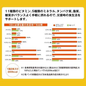 【賞味期限:2029年7月5日】10個セット ...の詳細画像3