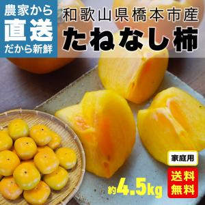 【11/11まで】農家直買い付け！ たねなし柿 家庭用 約4.5kg 送料無料 和歌山県産