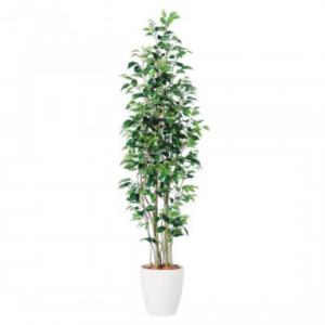 東北花材 Toka 人工樹木 ベンジャミン スリム Fst Automationghana Com