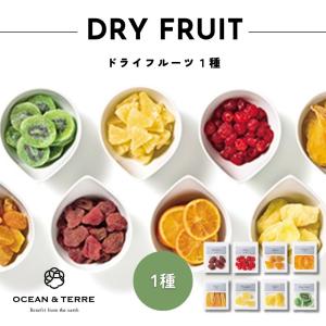 お返し 贈り物 2025 内祝い ギフト 引き出物 ドライフルーツ 1個 OCEAN＆TERRE A113