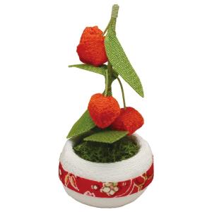 ほおずき 鉢植えの商品一覧 通販 Yahoo ショッピング