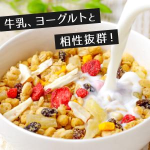 ココナッツチップス500g《送料無料》ココナッ...の詳細画像5
