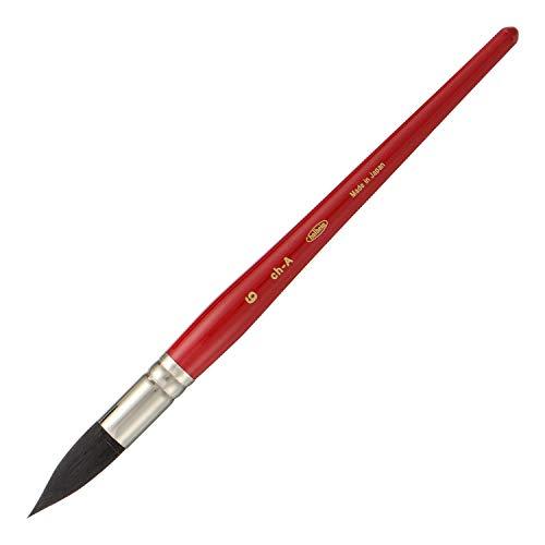 ホルベイン 水彩画筆 ブラックリセーブル ch-A 6号 204166