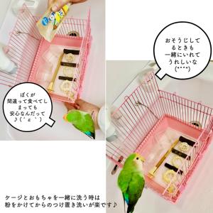 米ぬか洗剤インコ便50g 小動物ケージ・おもち...の詳細画像1