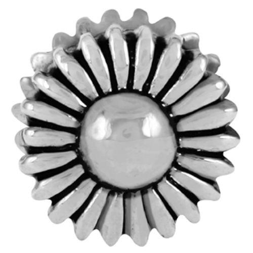 ルティニビーズ（Lu Tini beads） Daisy、パンドラ（Pandora）、トロールビーズ...