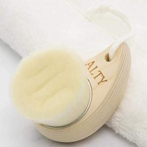 ALTY 美容洗顔ブラシ フェイスブラシ Face Brush 日本製 292701｜polupolu-shop