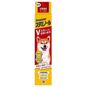スタミノールV 犬用 100g｜polupolu-shop