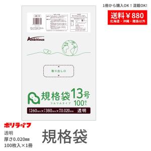 規格袋 11号 透明 100枚 LLDPE素材 ポリ袋 ビニール袋 AC-11-br バラ