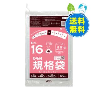 ひも付 規格袋 16号 34x48cm 0.020mm厚 透明 100枚x30冊x10箱 FBH-16-10 食品検査適合 RoHS指定 サンキョウプラテック｜poly-stadium