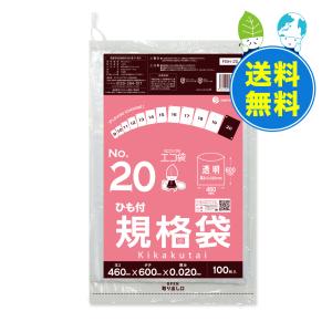 ひも付 規格袋 20号 46x60cm 0.020mm厚 透明 100枚x15冊x3箱 FBH-20-3 食品検査適合 RoHS指定 サンキョウプラテック｜poly-stadium