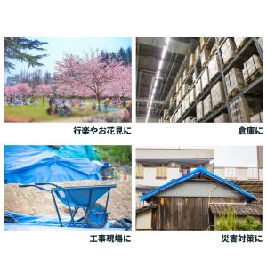 ブルーシート#3000 厚手 青 1.8x1....の詳細画像3