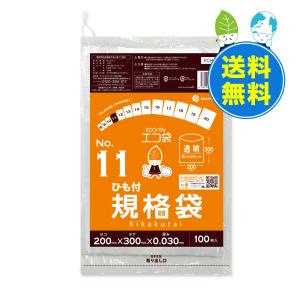 ひも付 規格袋 11号 20x30cm 0.030mm厚 透明 100枚x60冊x10箱 FCH-11-10 食品検査適合 RoHS指定 サンキョウプラテック｜poly-stadium