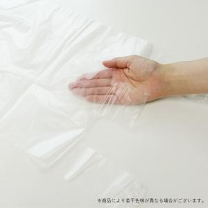 レジ袋 薄手 西日本 25号 (東日本8号) ...の詳細画像2