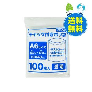 チャック付きポリ袋 A6サイズ 透明 12x17cm 0.040mm厚 100枚x60冊x10箱 ZF-04-10 サンキョウプラテック｜poly-stadium