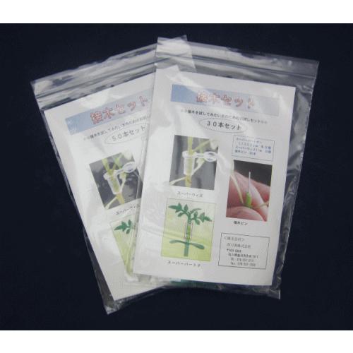 接ぎ木おためしセット100個セット（4種セレクト）