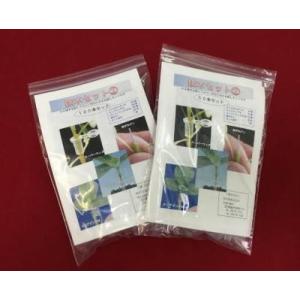 接ぎ木おためしセット(2)　100個セット