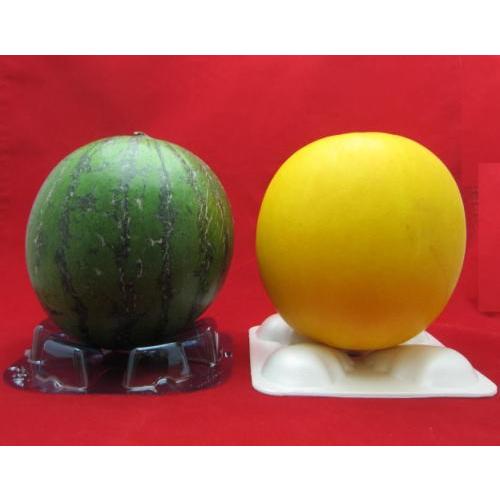 フルーツマットのおためしセット「のっけてみる？」100個セット 野菜のお座布団