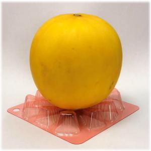 エフピコチューパ果実マットPET赤 100枚