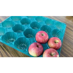 りんごパック（PET　出荷用）30枚　