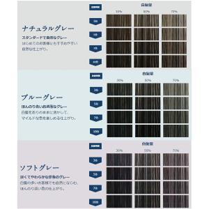 ホーユー カレンシアカラー ナチュラルグレー ...の詳細画像2