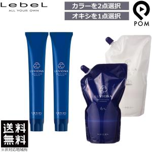 ルベル　ルビオナカラー　美容室　23本セット LUVIONA ルベル ルビオナ カラー 80g 第1剤 | 医薬部外品