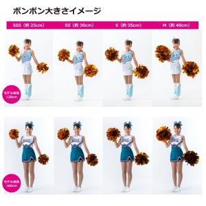 チアバイオレット カット仕上げSSSサイズの詳細画像1