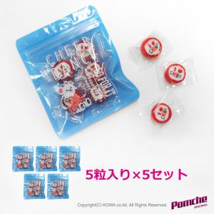 チアキャンディパック　5粒 【×5セット】｜pomche