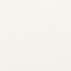 ポリエステル化粧合板 ブラック＆ホワイト LP-6200R ４ｘ８