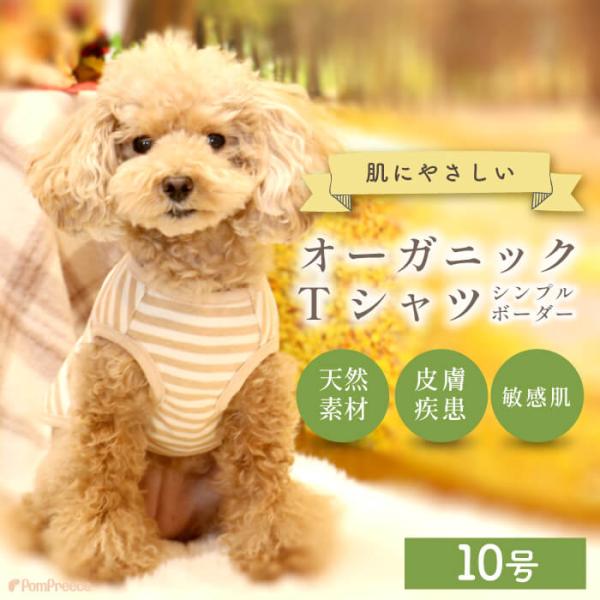 犬服 オーガニック ボーダー 柔らかい 優しい 小型犬 中型犬 大型犬 Tシャツ オーガニック Ｔシ...