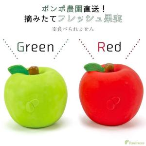 犬 猫 おもちゃ ラテックス ストレス解消 音...の詳細画像2