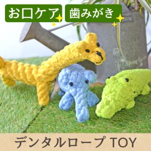 犬 おもちゃ 小型犬 ペット 歯磨き デンタル はみがき ハミガキ 子犬 パピー 甘噛みデンタルロープTOY ポンポリース 4720