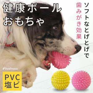 PVC 健康ボール ポンポリース 4136